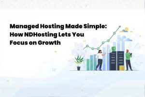 Managed Hosting Made Simple: How NDHosting Lets You Focus on Growth